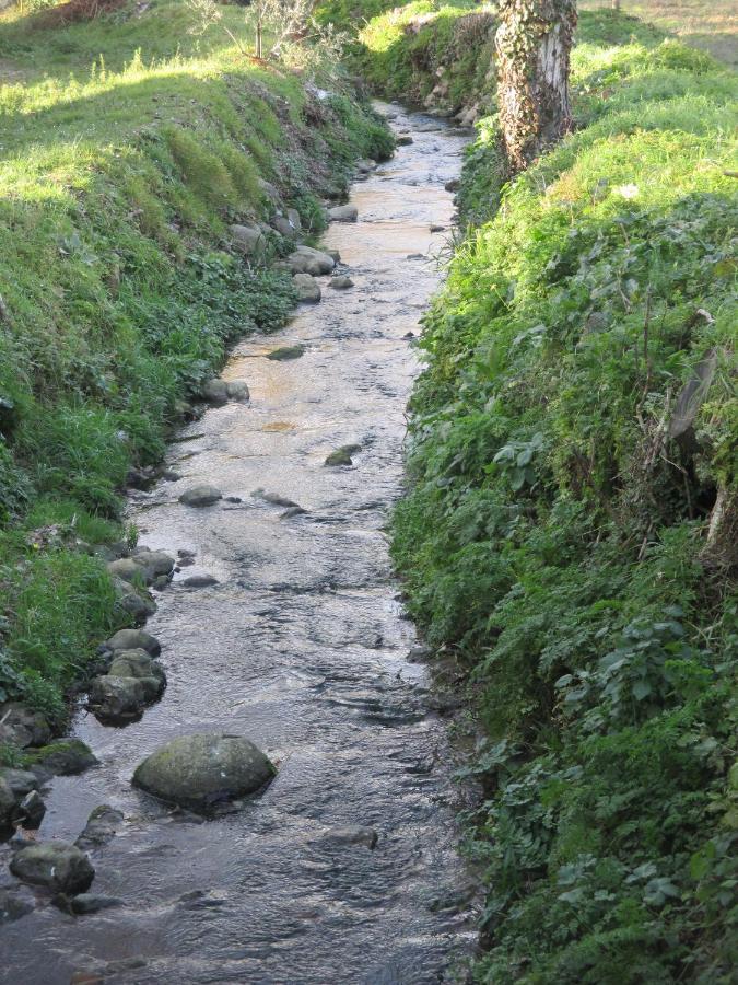 Podere Pian Dei Gelsi Volterra Dış mekan fotoğraf