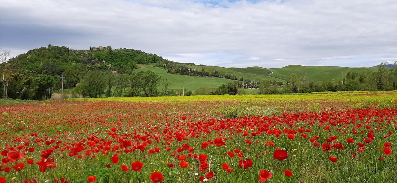 Podere Pian Dei Gelsi Volterra Dış mekan fotoğraf