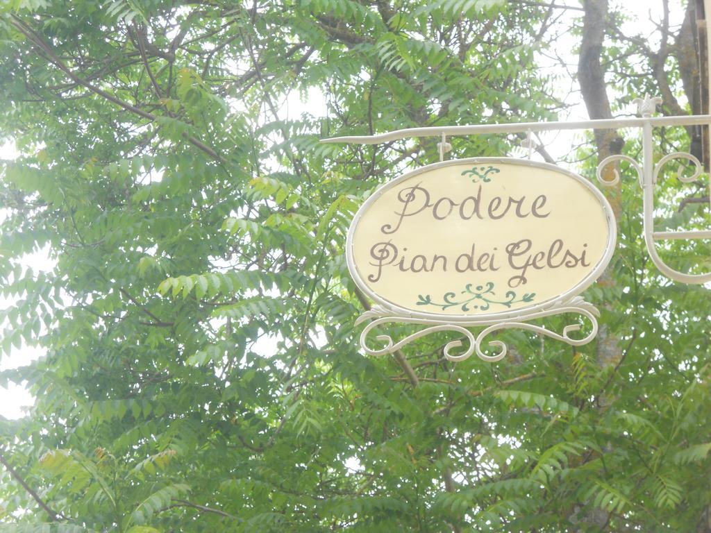 Podere Pian Dei Gelsi Volterra Dış mekan fotoğraf