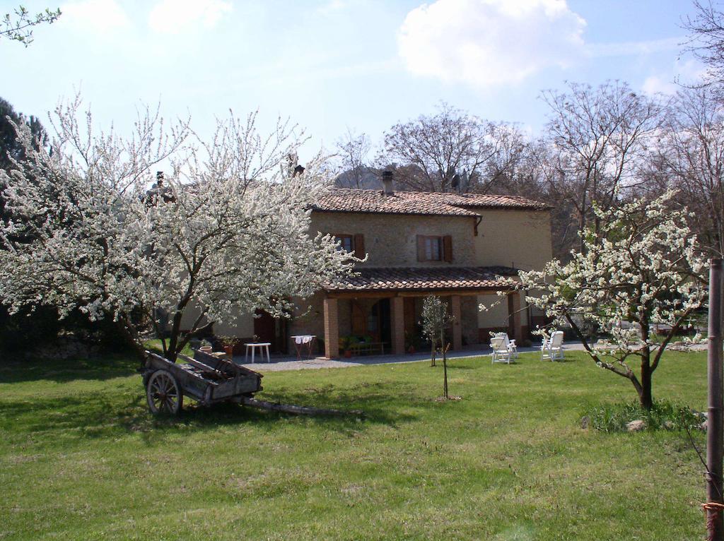 Podere Pian Dei Gelsi Volterra Dış mekan fotoğraf