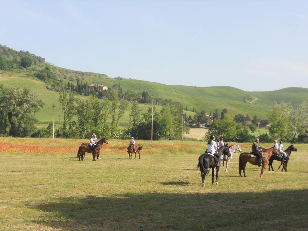 Podere Pian Dei Gelsi Volterra Dış mekan fotoğraf